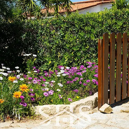 Blue Art Retreat Cala Caterina And Santo Stefano 别墅 *